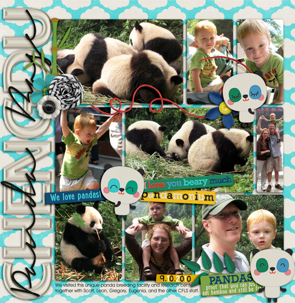 Chengdu Panda Reserve