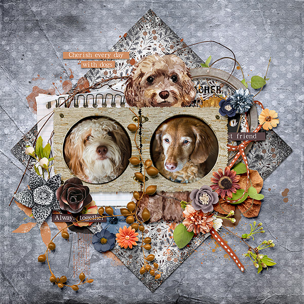 Cherish Each Day With Dogs