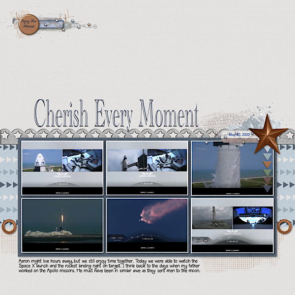 Cherish Every Moment Feb Mojo Mods Quote