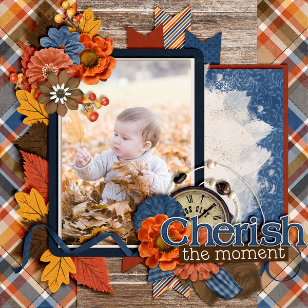 Cherish-The-Moments3