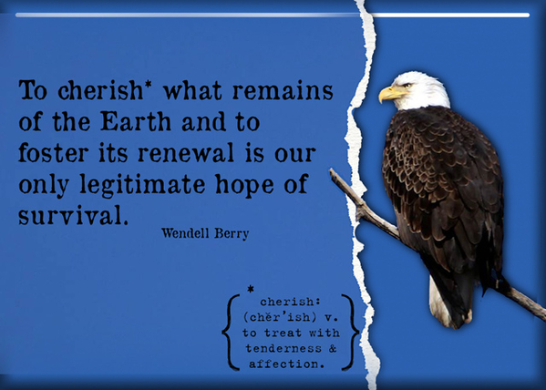 cherish