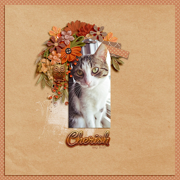 cherish
