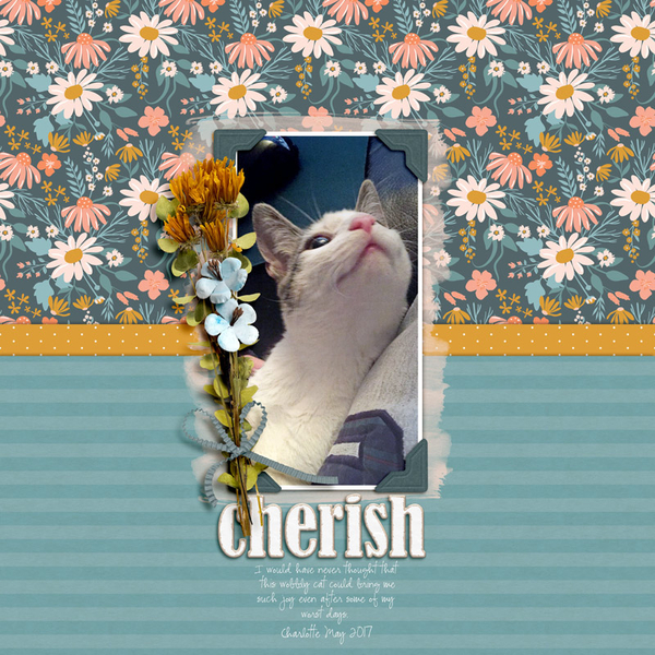 cherish