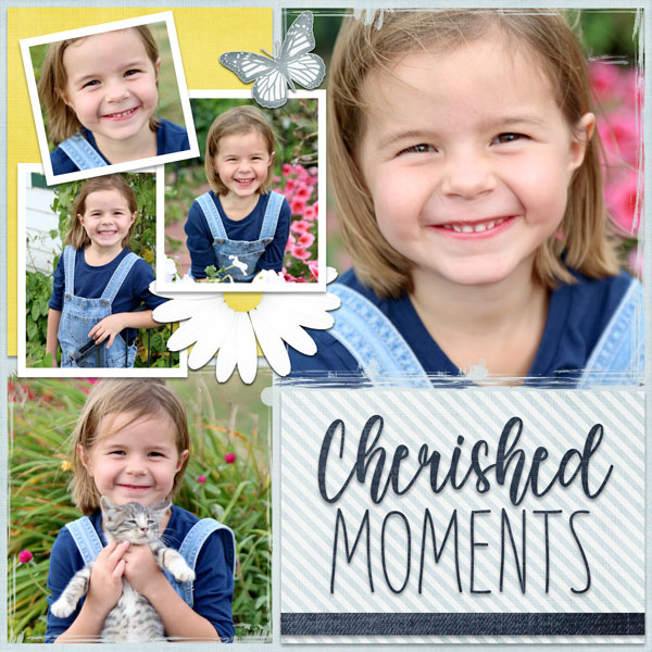 Cherished Moments