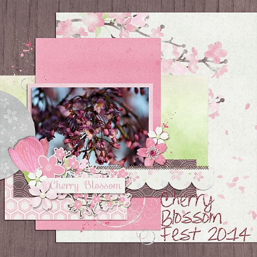 Cherry Blossom Fest