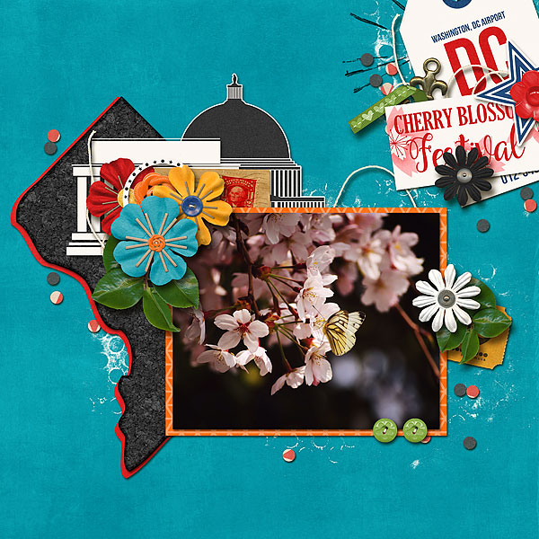 Cherry Blossom Festival