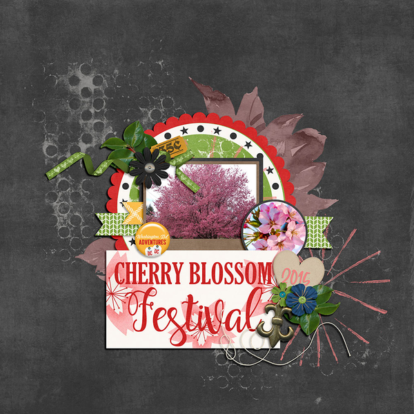 Cherry Blossom Festival