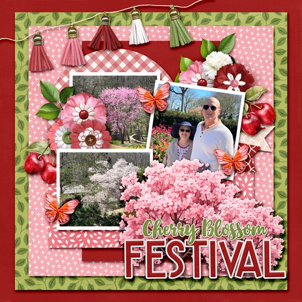 Cherry Blossom Festival