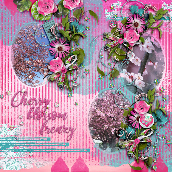 Cherry-blossom-frenzy