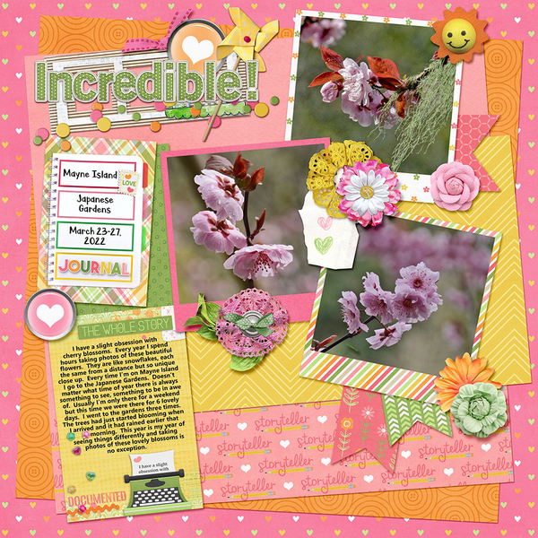 Cherry Blossom Obsession