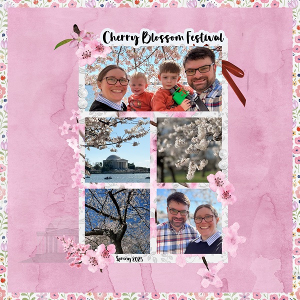 Cherry Blossom Trip