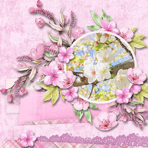 Cherry Blossom