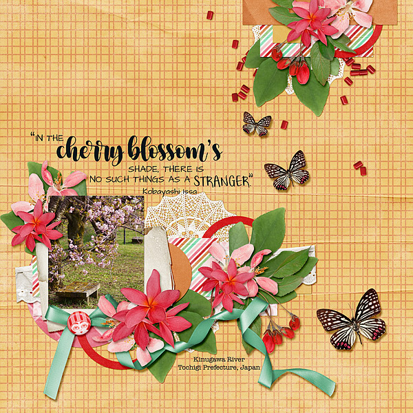 Cherry Blossom