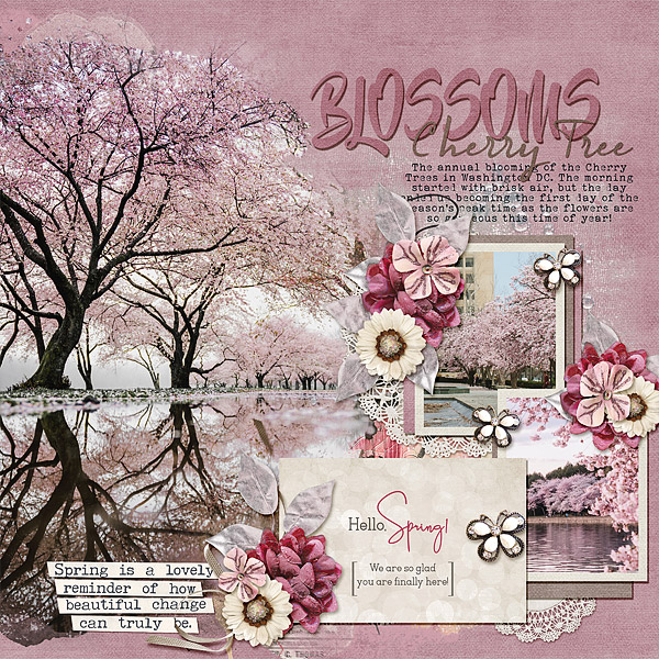 Cherry Blossom