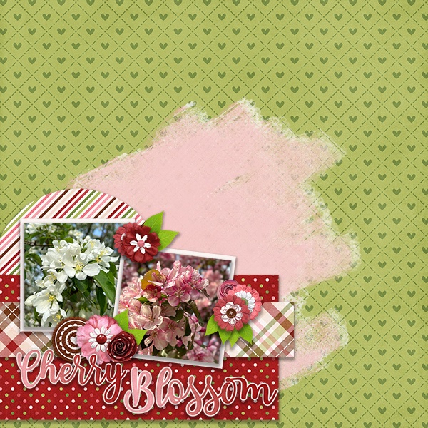 Cherry Blossom