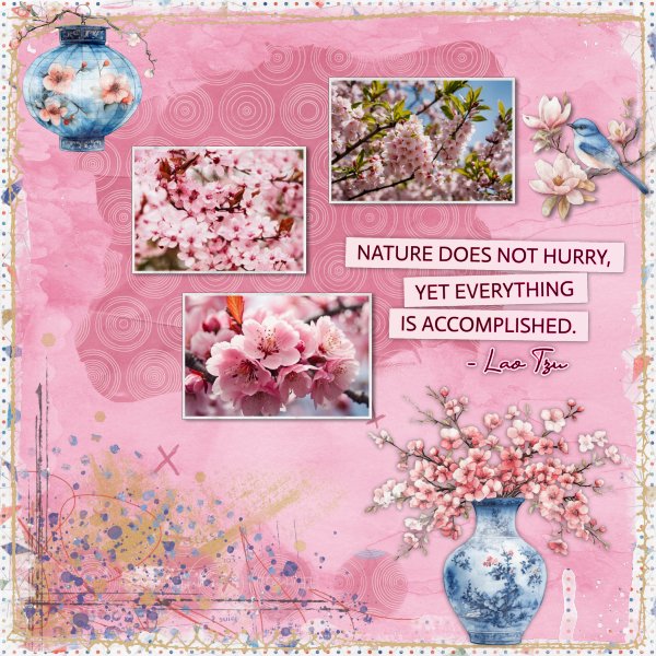 Cherry Blossom