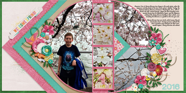 Cherry Blossoms 2016
