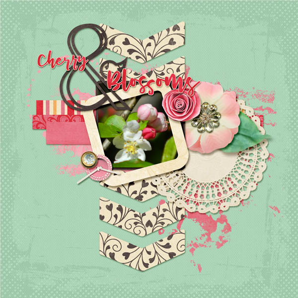 Cherry Blossoms