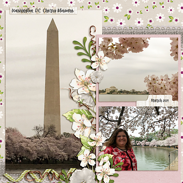 Cherry Blossoms