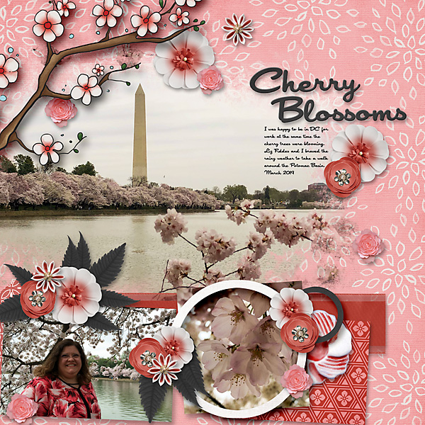 Cherry Blossoms