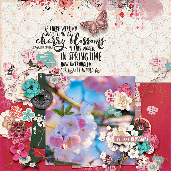 Cherry Blossoms
