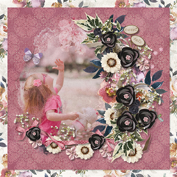 Cherry Blossoms