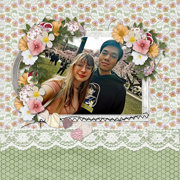 Cherry Blossoms