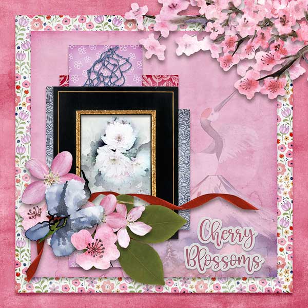 Cherry Blossoms