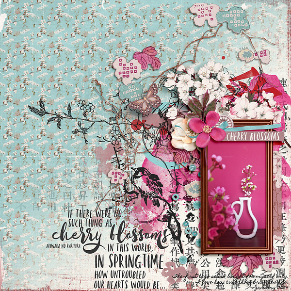 Cherry Blossoms