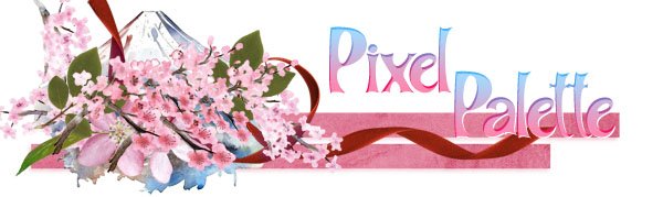 Cherry Blossoms