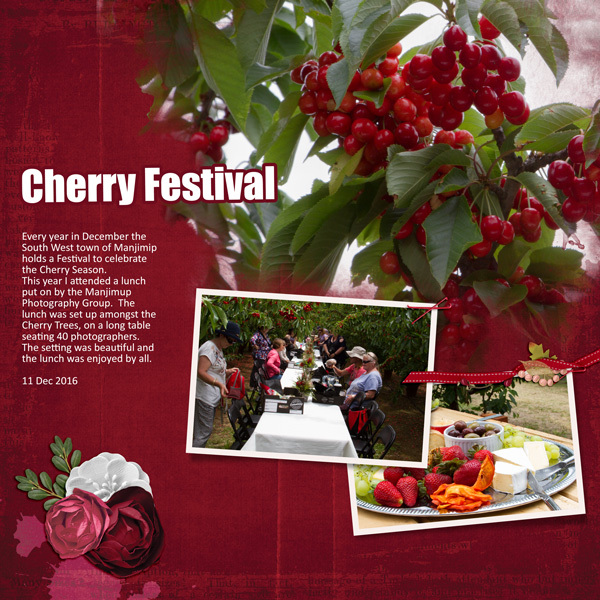 Cherry Festival