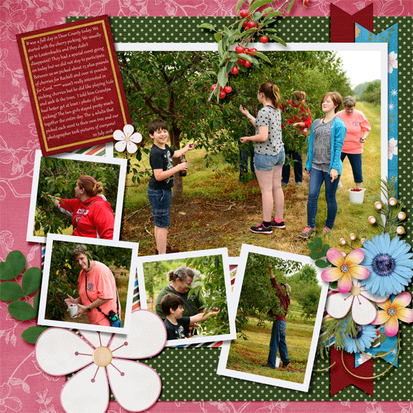 Cherry Pickin' Right