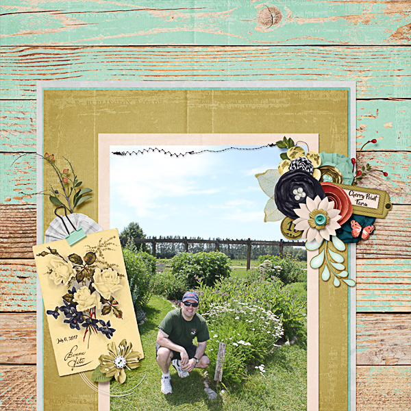 Cherry Point Farm