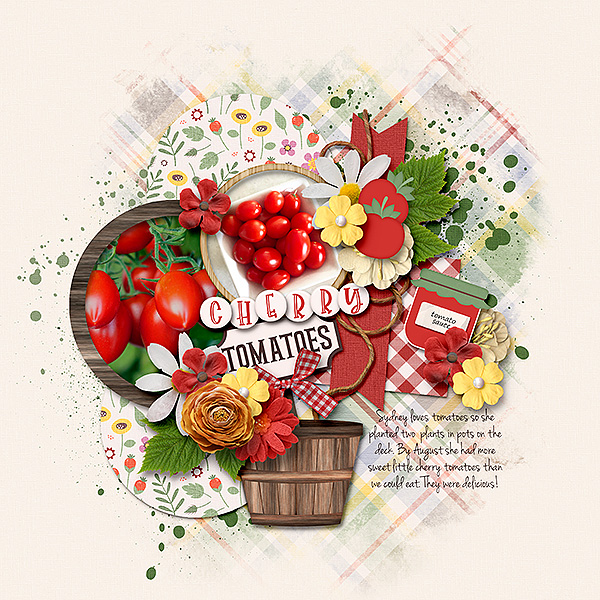Cherry Tomatoes