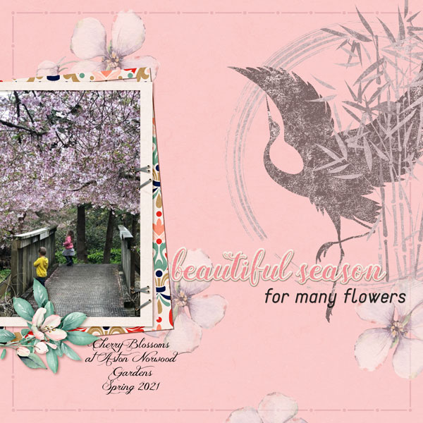 Cherry Tree