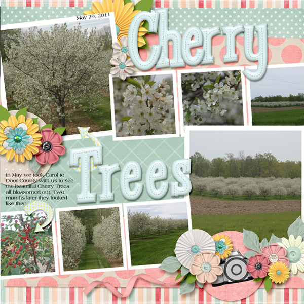 Cherry Trees
