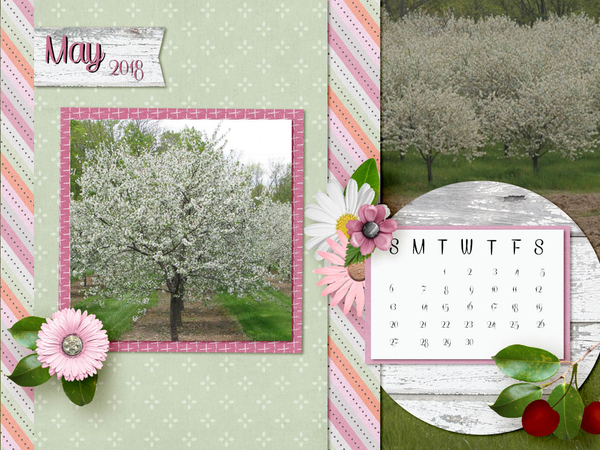 Cherry Trees