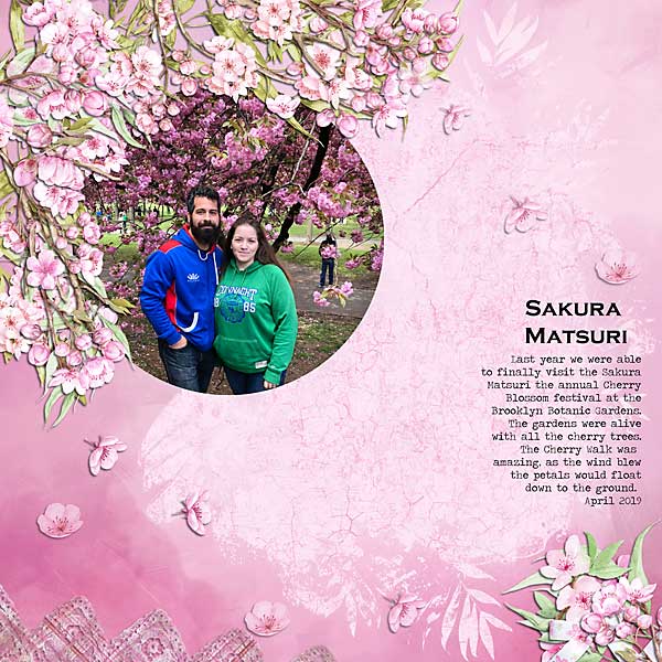 cherryblossom2019-copy