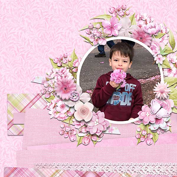 cherryfestivalkierna-copy