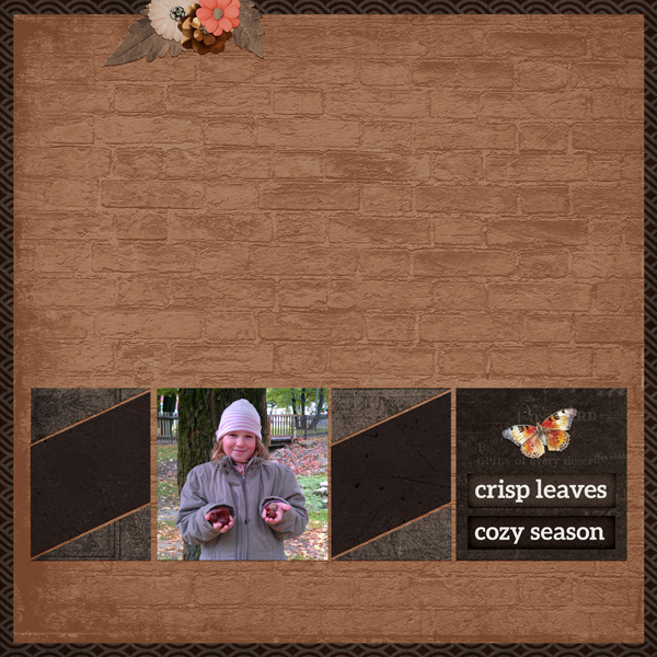 chestnut find