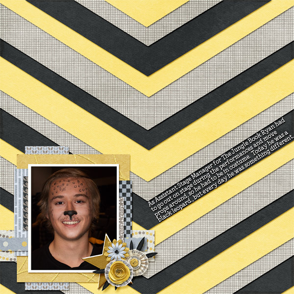 Chevrons