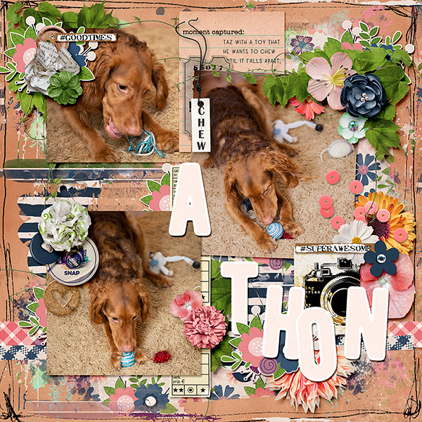 Chew-A-Thon