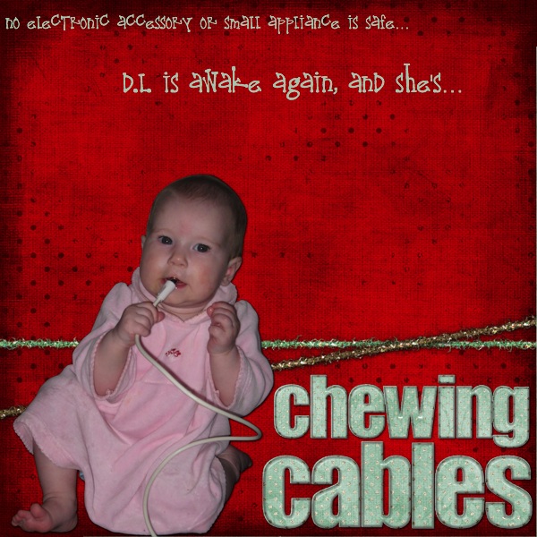 chewing cables