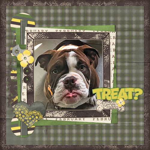 Chewy ALWAYS wants a treat!