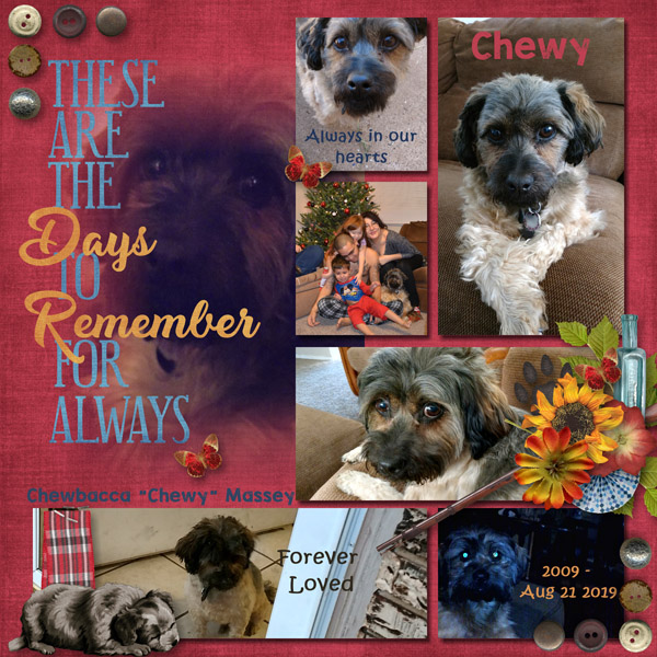 Chewy