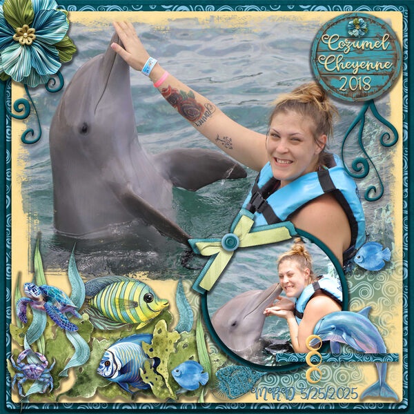 Cheyenne Swimming with Dolphins 2018