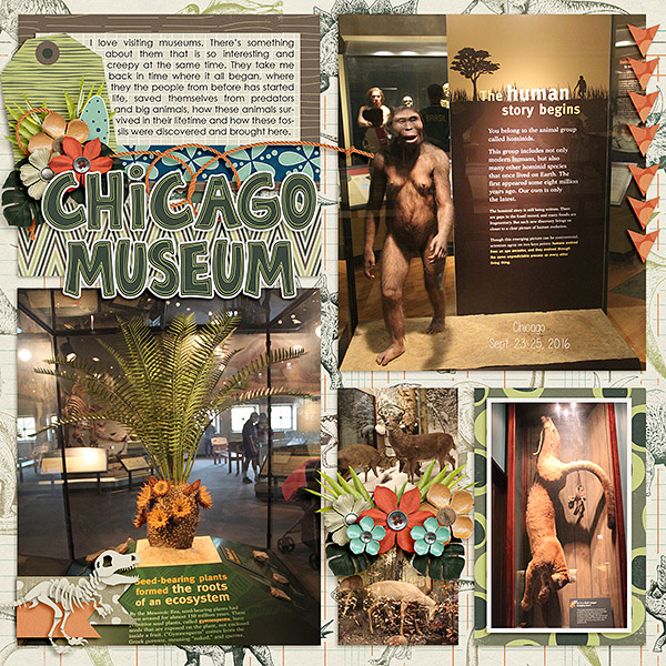 Chicago Museum