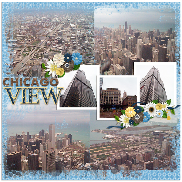 Chicago View