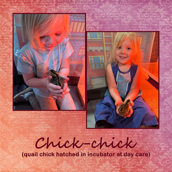 Chick-chick