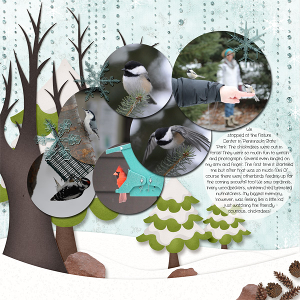 Chickadees